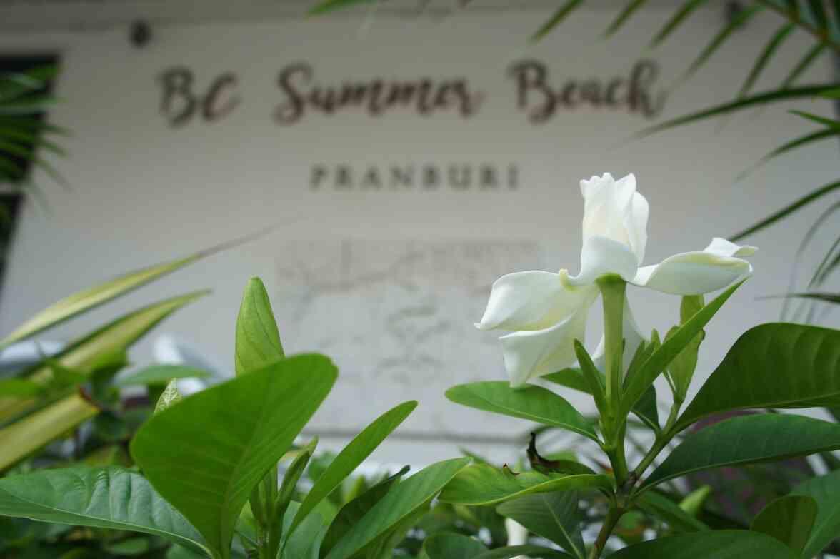 Bc Summer Beach Pran Buri Eksteriør billede